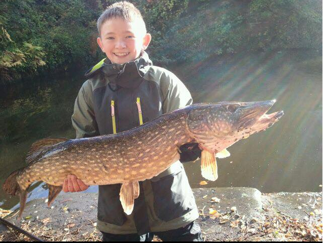 Manchester Pike